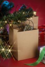 Torba papierowa PAKLO średnia