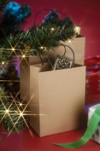 Torba papierowa PAKLO duża