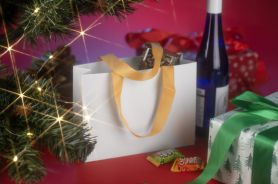 Torba papierowa DUNA średnia