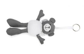 Brelok TED