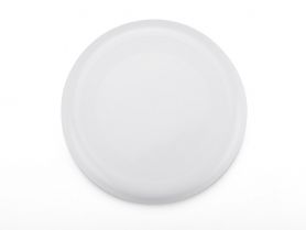Frisbee ZING