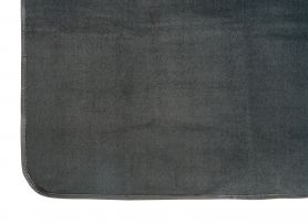 Koc z polaru ARNHEIM