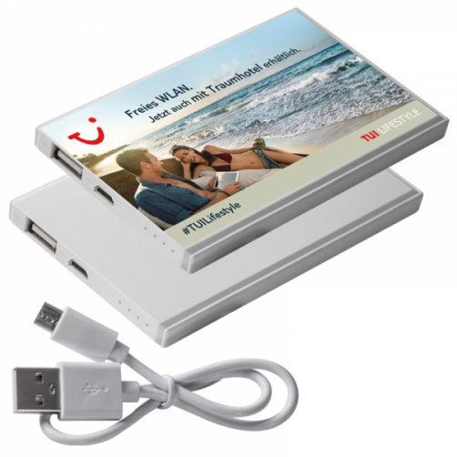 Power bank 2 200 mAh PINEVILLE