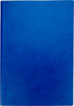 Notes A5 w linie DAYTONA BEACH