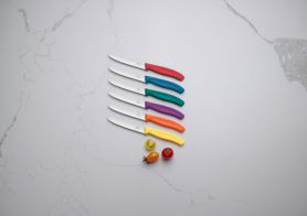 Nóż z ząbkowanym ostrzem SwissClassic Victorinox
