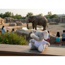Pluszowy słoń | Samson