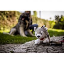 Pluszowy pies husky | Trooper