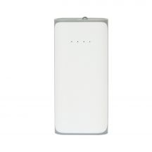 Power bank 4000 mAh | Birch