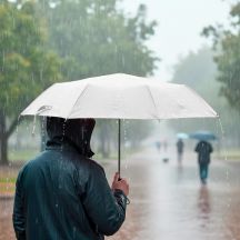 Parasol manualny, składany | Bores