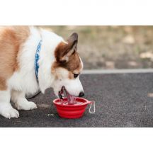 Składana miska dla psa | Platora