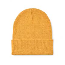 BEANIX